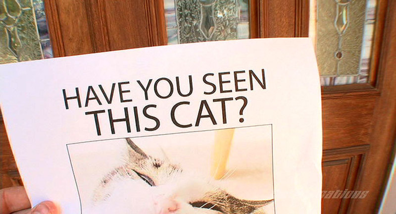 giant cum on asia zos face-00