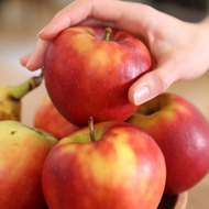 A Perfect Morning With Alecia Fox-03